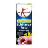 Lucovitaal Echinacea Forte met Catu0027s Claw